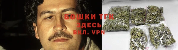 сатива Нягань